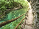 Vintgar Gorge, Slovenia